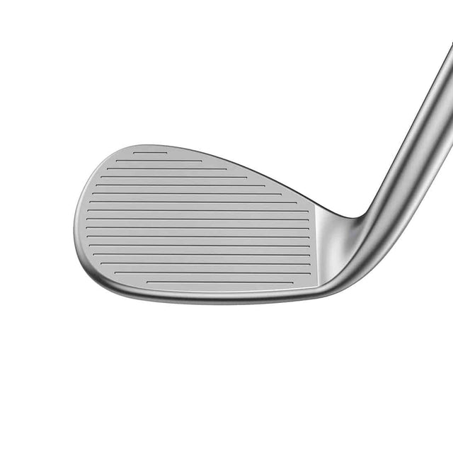Cobra SnakeBite 2023 Wedge
