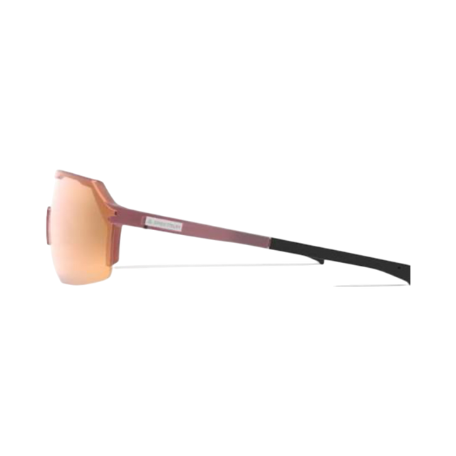 Spektrum FROA Glasses