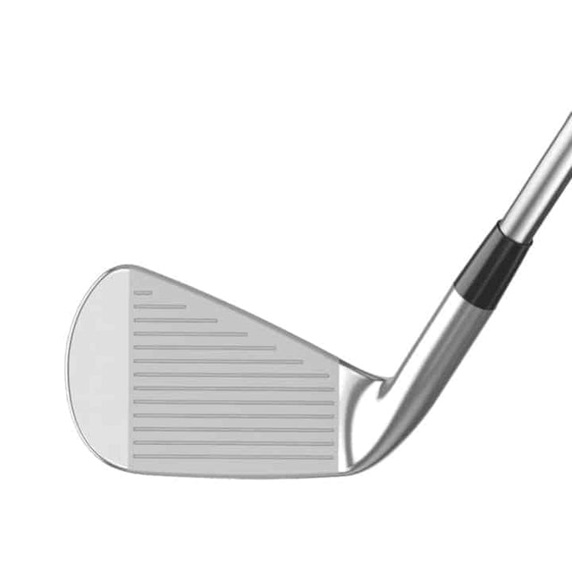 Mizuno Pro 245 Irons - One Golf