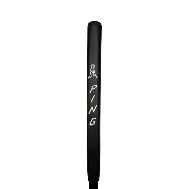 Ping Scottsdale TEC Ally Blue H Putter - One Golf