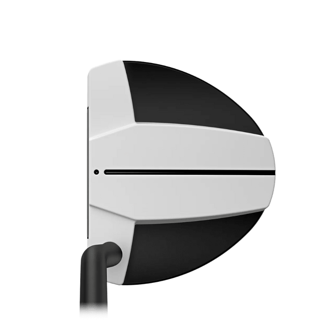 Ping Scottsdale Tec Hayden Putter - One Golf
