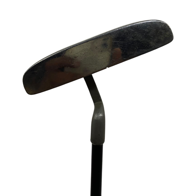 Merlyn Putter
