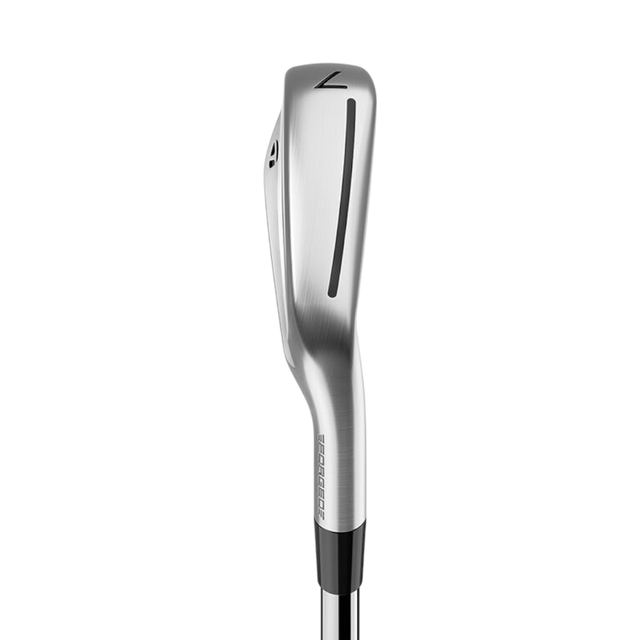 TaylorMade P790 Forged Irons