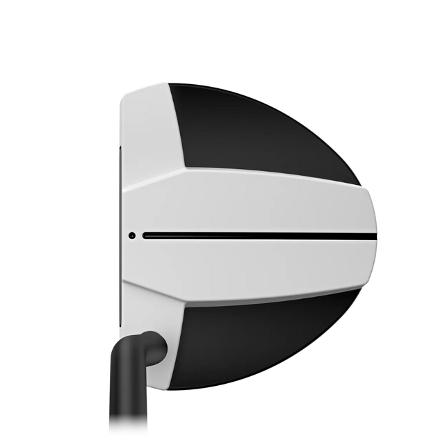 Ping Scottsdale Tec Hayden Putter