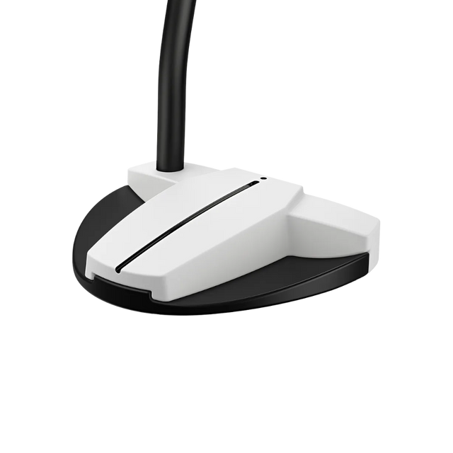 Ping Scottsdale Tec Hayden Putter