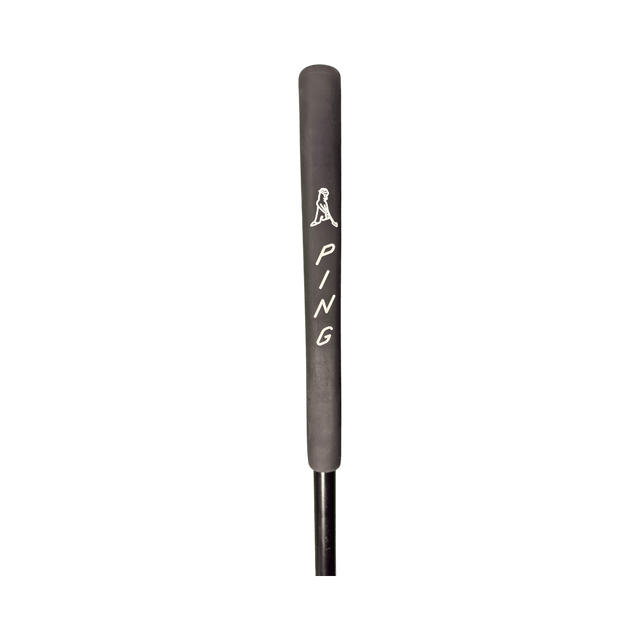 Ping Ally Blue 4 Putter - One Golf