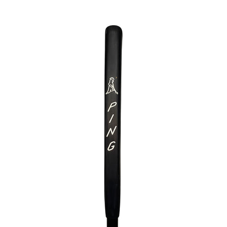 Ping Scottsdale TEC Ally Blue H Putter - One Golf