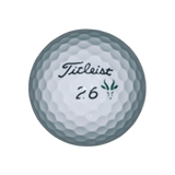 Titleist Pro V1 2025 South African Edition White Golf Balls - One Golf