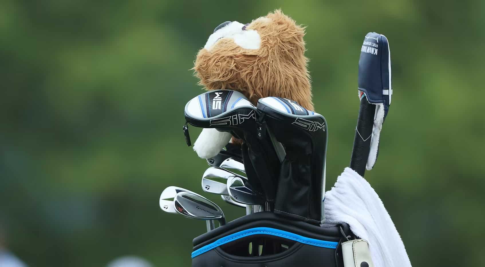 rorybag